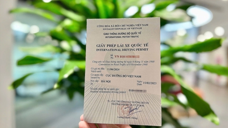 Giấy phép lái xe quốc tế - IDP