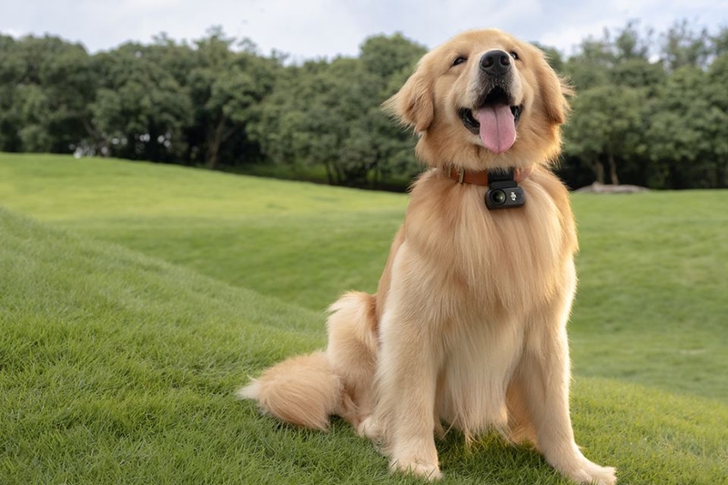 Insta360 X5 và DJI Osmo Nano (ảnh 10)