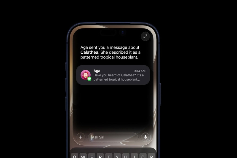 Ứng dụng Siri độc lập hiển thị cuộc trò chuyện với trợ lý AI.