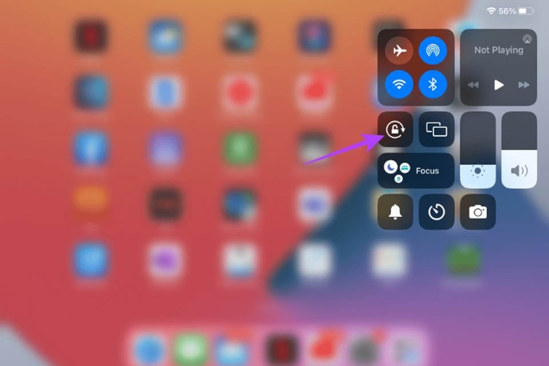 iPad không xoay được màn hình (8)