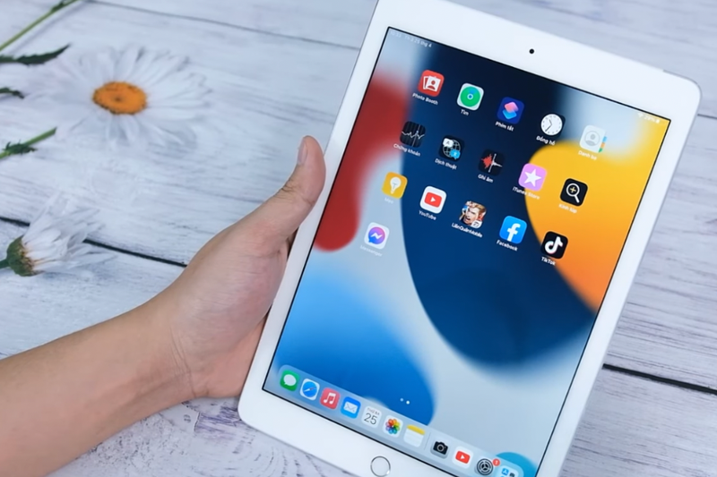 iPad Model A1567 (1)
