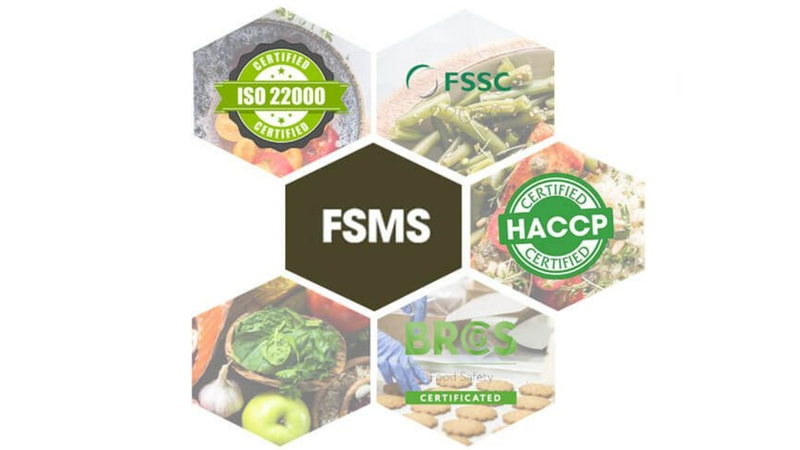 Điều khoản cuối cùng tập trung vào việc cải tiến liên tục FSMS