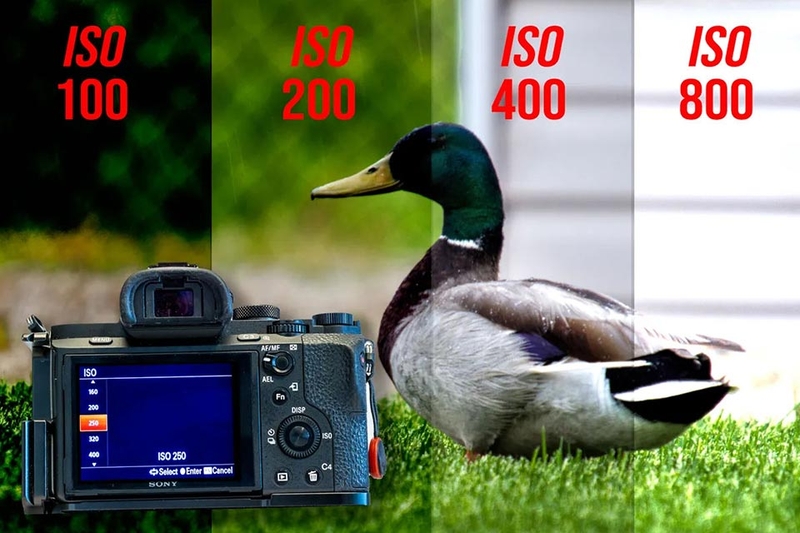 ISO máy ảnh là gì - 07
