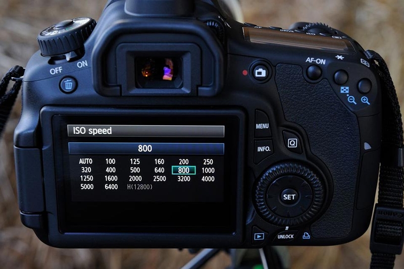 ISO máy ảnh là gì - 06
