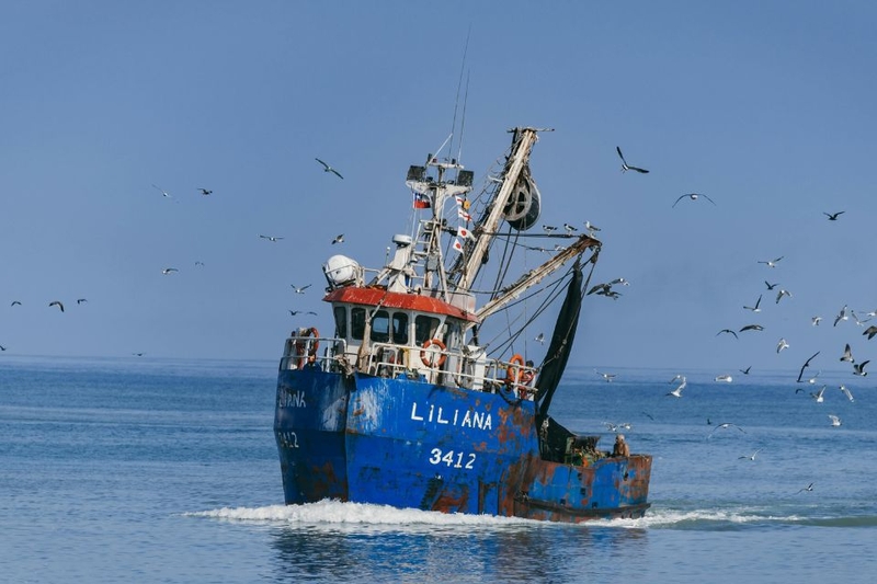 iuu là gì (ảnh 1)