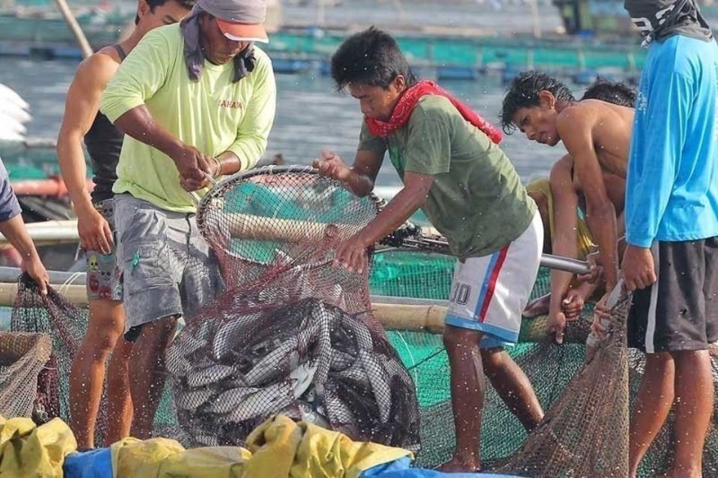 iuu là gì (ảnh 2)