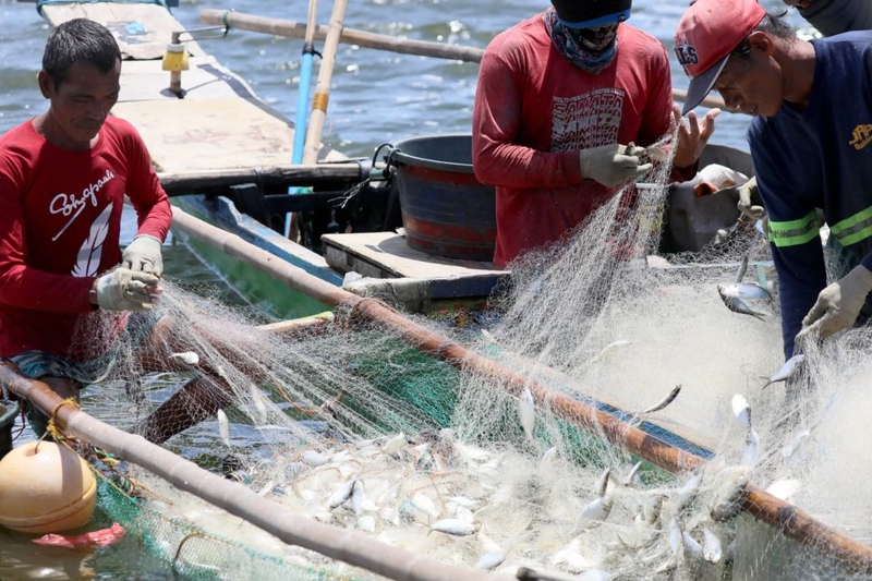 iuu là gì (ảnh 4)