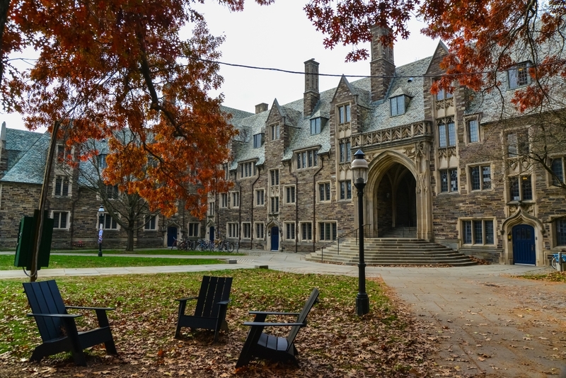 Ivy League là gì 1