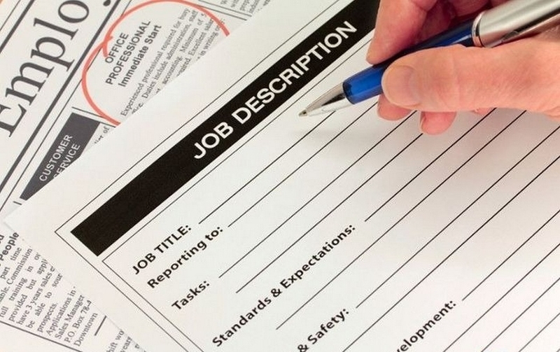 job title là gì ảnh 2