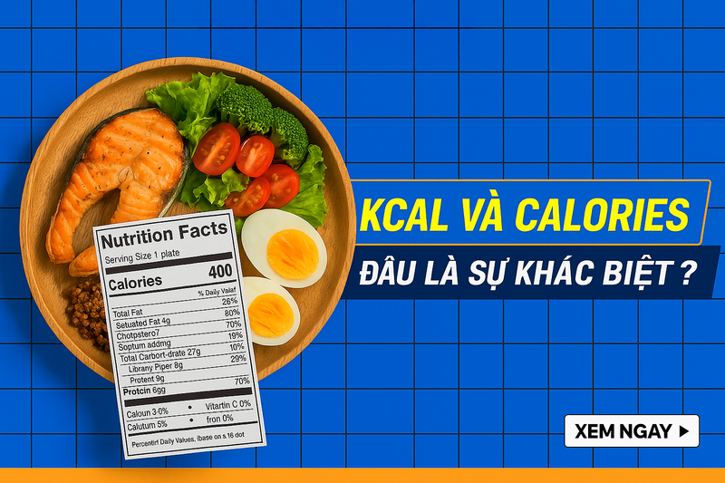 Định nghĩa và bản chất của kcal và calo