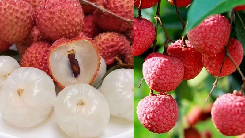 Kem vải sữa dừa 2