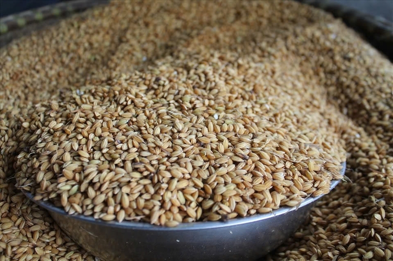 kẹo mạch nha ảnh 1