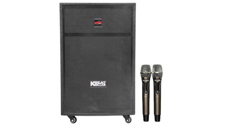 Tại sao nên mua loa ACNOS để hát Karaoke?