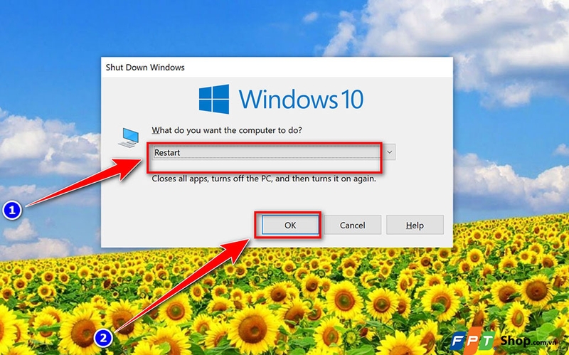 Key Win 10 Pro - 10