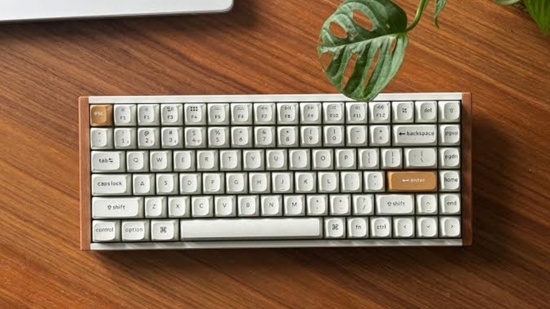 Tương thích tốt với cả macOS và Windows