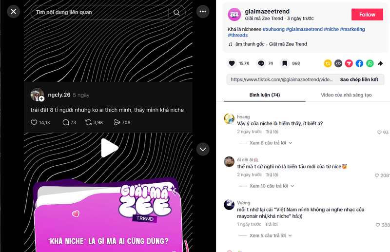 "Khá niche" là gì?