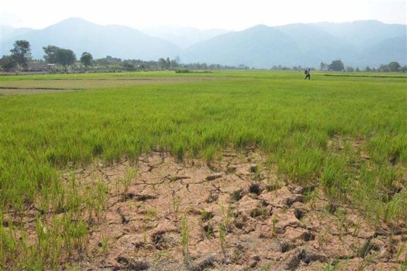 Khí hậu nhiệt đới gió mùa 4