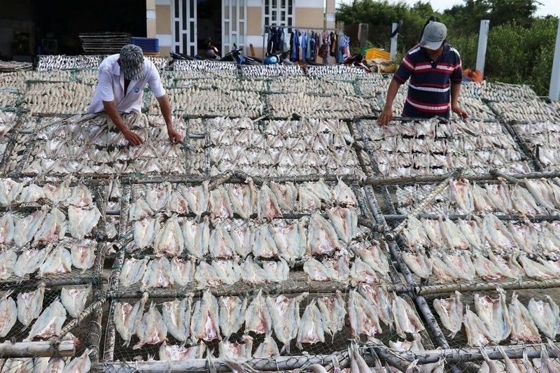 Khô cá mặn ảnh 7