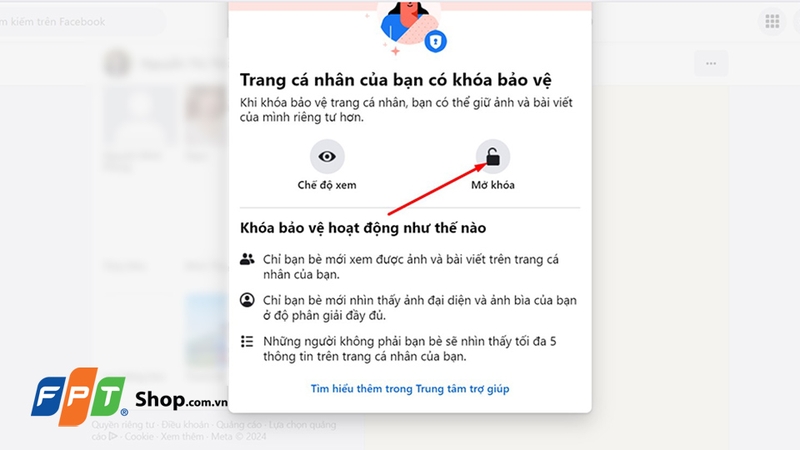 Khóa bảo vệ trang cá nhân (hình 17)