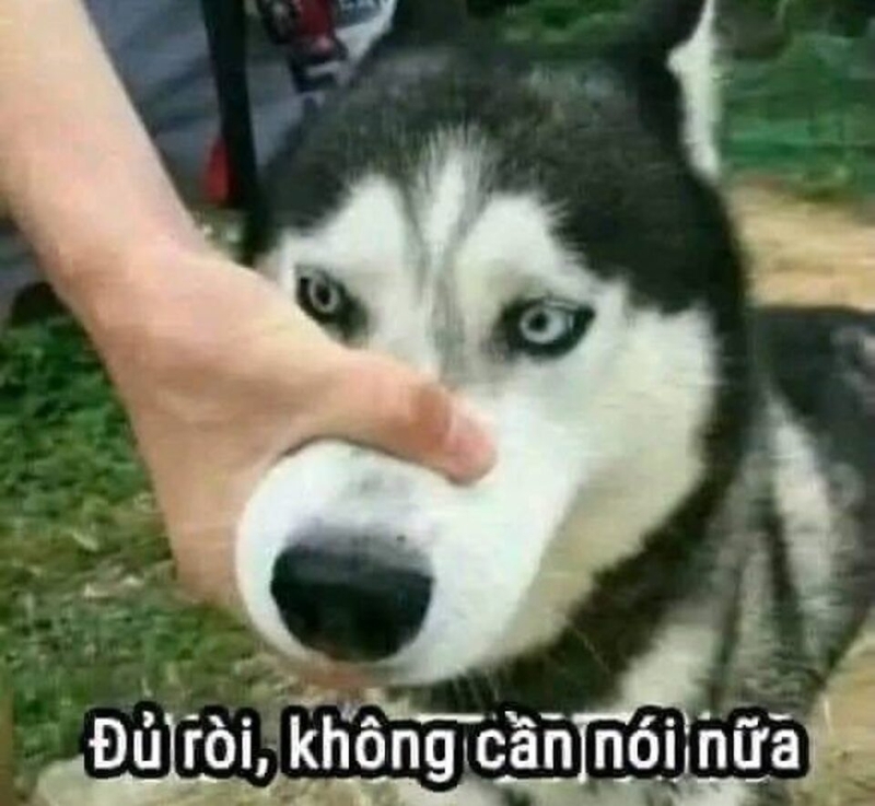 “Mõm” là gì trên các mạng xã hội như Facebook?