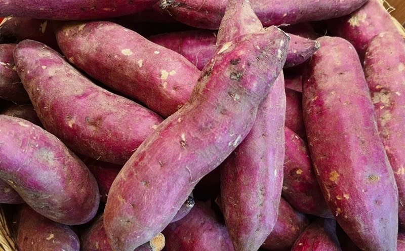 khoai lang sấy mật ong ảnh 1