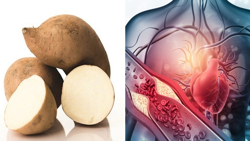 Khoai lang trắng giúp giảm cholesterol xấu