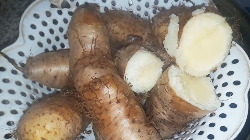 khoai từ làm món gì ngon