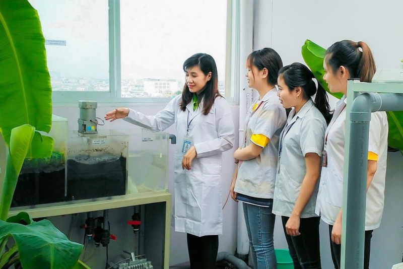 Học khối A06 ra trường làm công việc gì?