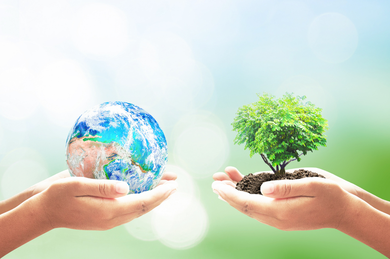 khối a11 - hình 6