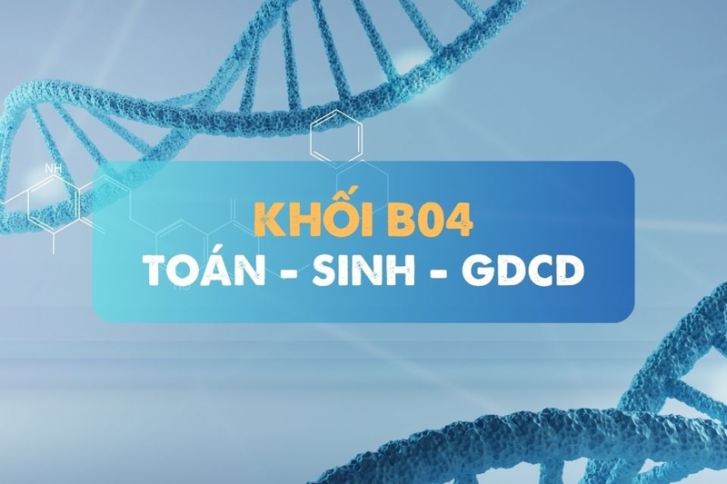 khối b04 gồm những ngành nào (ảnh 1)