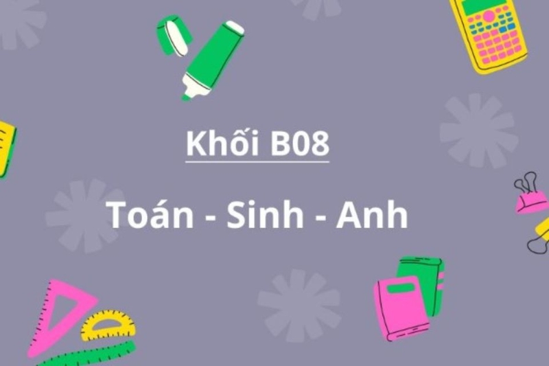 Khối B08 gồm những môn nào?