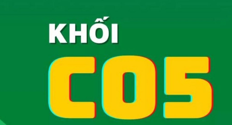 Khối C05 gồm những ngành nào - 06