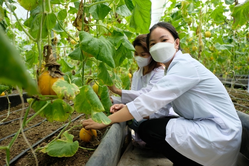 Khối C13 gồm những ngành nào (ảnh 2)