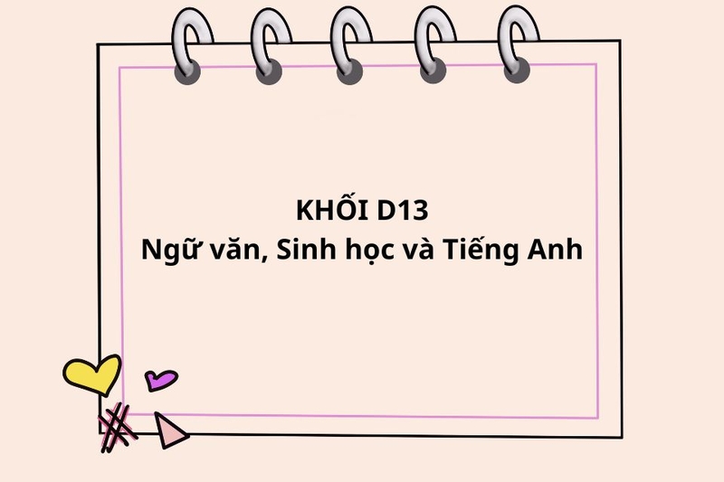 Khối D13 gồm những môn nào?