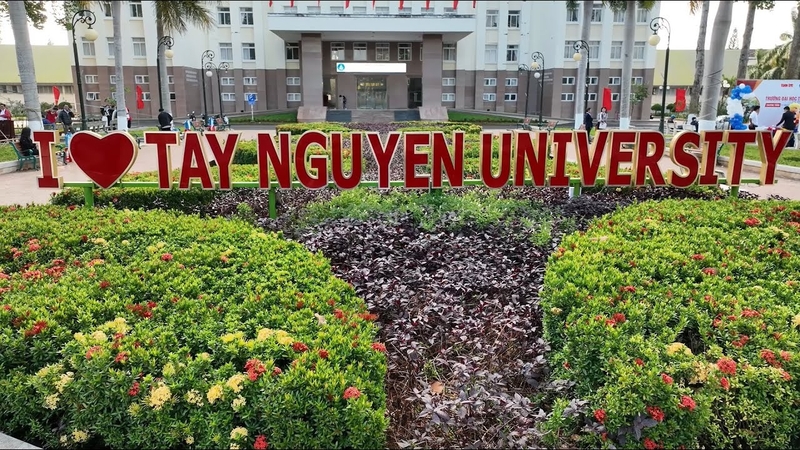dai hoc tay nguyen d13