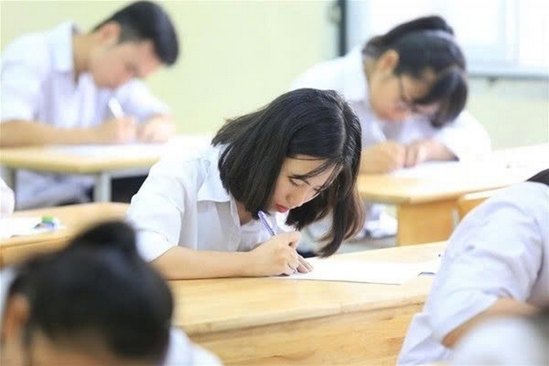 Khối D40 gồm những ngành nào? Trường nào ảnh 7