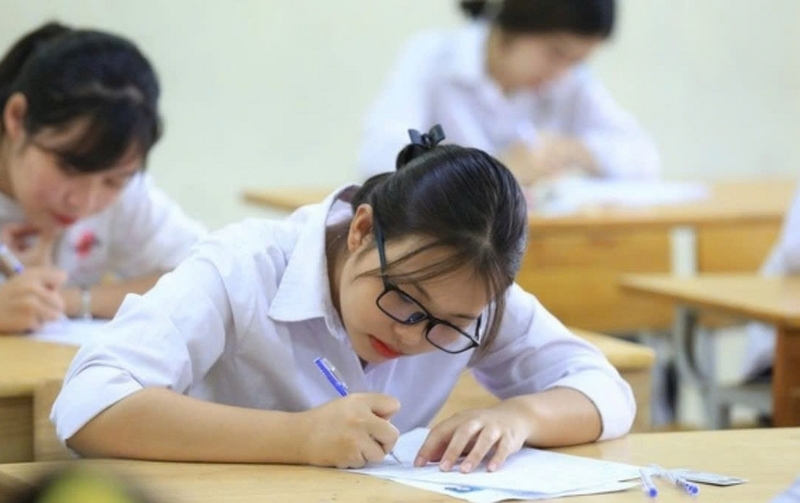 Khối D55 gồm những ngành nào? Trường nào ảnh 7