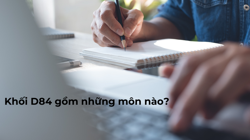 Khối D84 gồm những ngành nào 1
