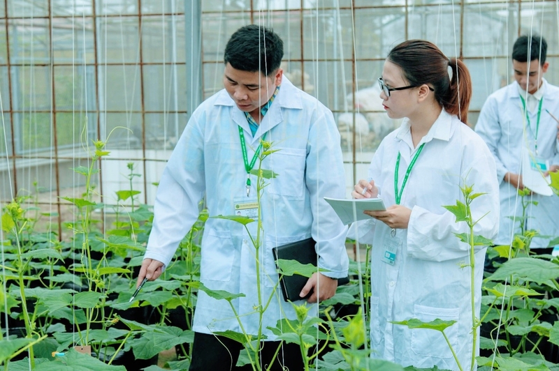 khối nào có điểm chuẩn thấp 1.jpg