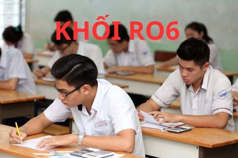 Các ngành phù hợp với khối R06