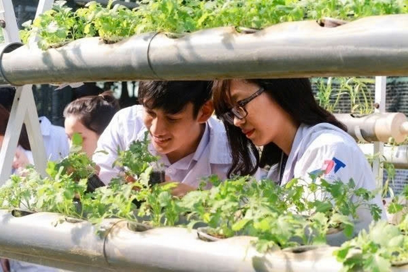 Khối X12 gồm những ngành nào? Trường nào ảnh 3