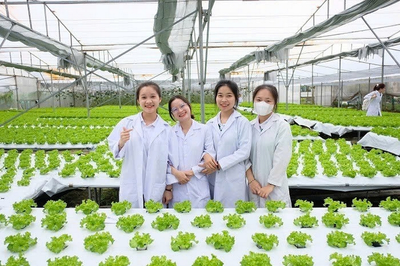 Khối X12 gồm những ngành nào? Trường nào ảnh 4