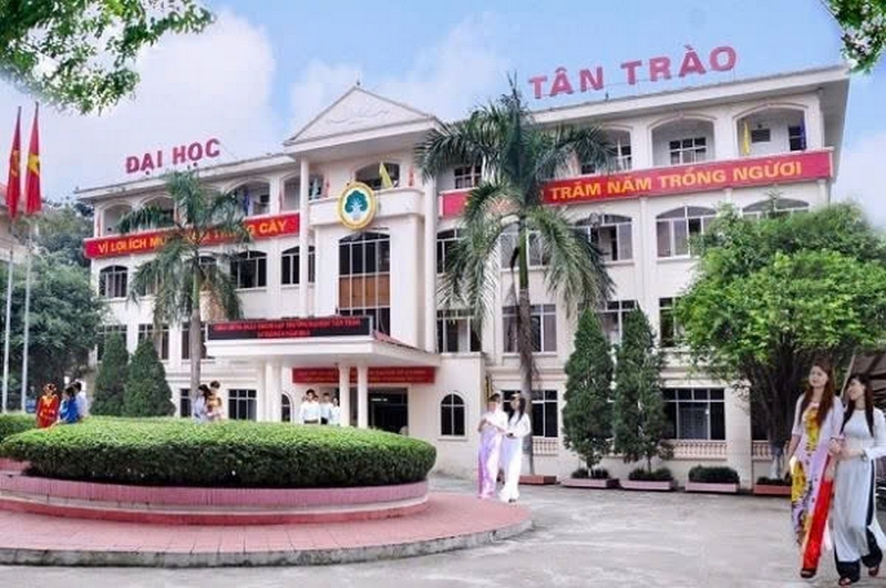 Khối X15 gồm những ngành nào? Trường nào ảnh 5