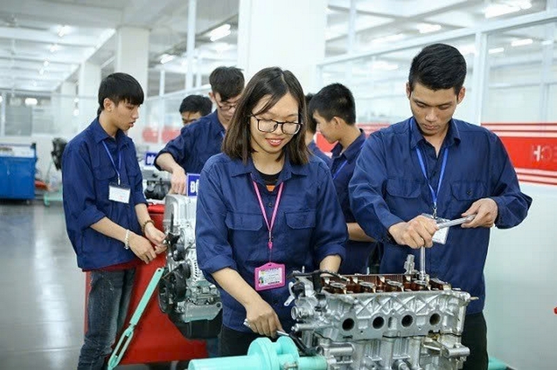khối X65 gồm những ngành nào? Trường nào ảnh 4
