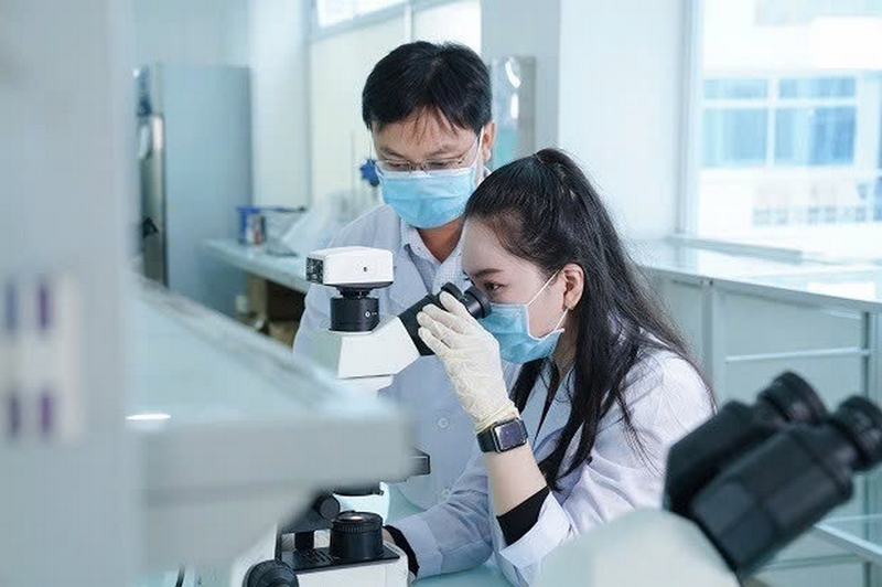 Khối Y08 gồm những ngành nào? Trường nào ảnh 10