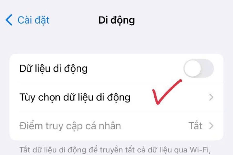 Chọn Tùy chọn dữ liệu di động và nhấn vào Thoại và dữ liệu
