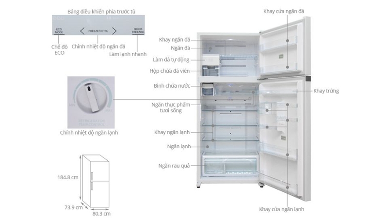 Kích thước tủ lạnh 2 cánh Toshiba GR-WG66VDAZ inverter 600 lít