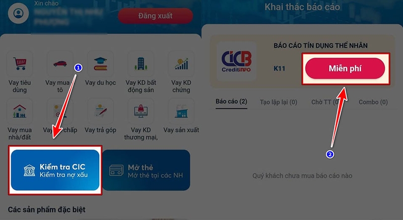 Kiểm tra nợ xấu bằng số điện thoại - 01