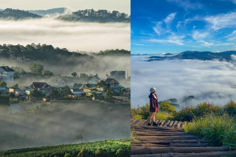 kinh nghiệm du lịch Đà Lạt mùa mưa (1)