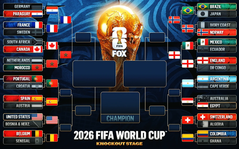 knock-out-wc-1.png